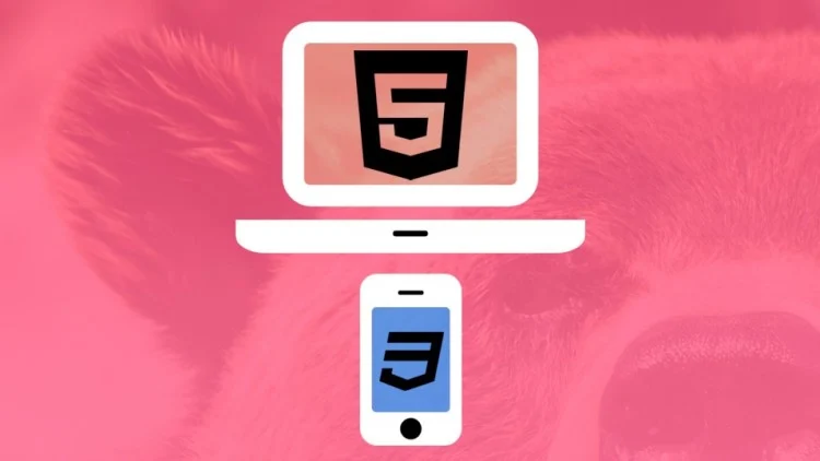 Udemy – Web Design for Beginners Real World Coding in HTML & CSS